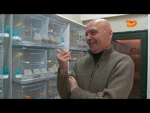 Ne Shtepine Tone, 3 Shkurt 2017, Pjesa 4 - Top Channel Albania - Entertainment Show