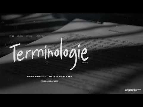 wavyzien "TERMINOLOGIE" feat. młody tkulululu (REMIX)