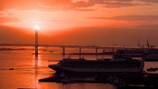 ダイヤモンド・プリンセス - DIAMOND PRINCESS - 　入港・着岸（横浜港大さん橋）　[4K](2025年10月18日)