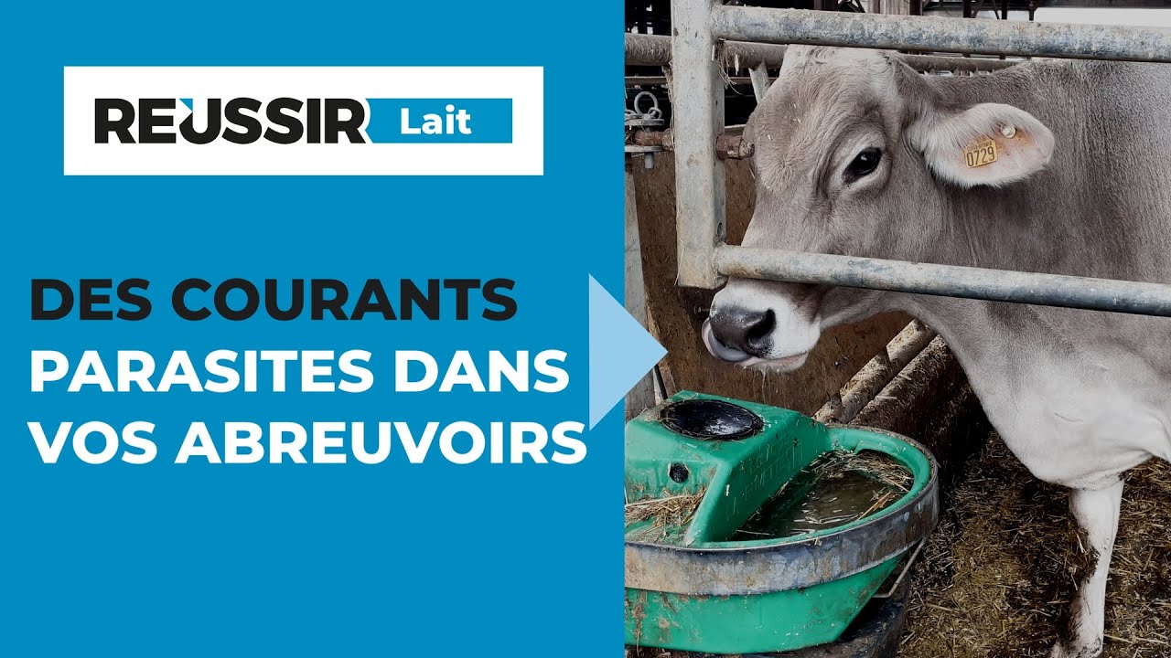 Hydratation : des courants parasites dans vos abreuvoirs ?
