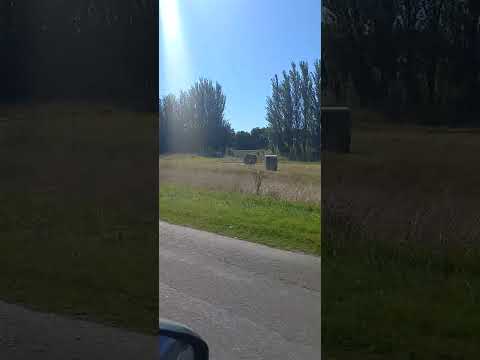 Ruta 205, Tramo Lobos , Roque Perez. Buenos Aires,  Argentina