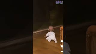 Comment below if you failed the challenge! ⬇️ #FunnyJobs #FunJobs #FunnyAnimals