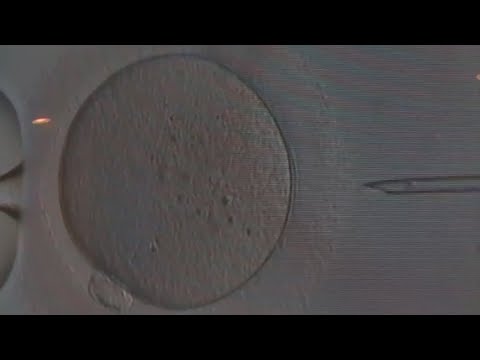 Central Ohio couple celebrates double rainbow on...