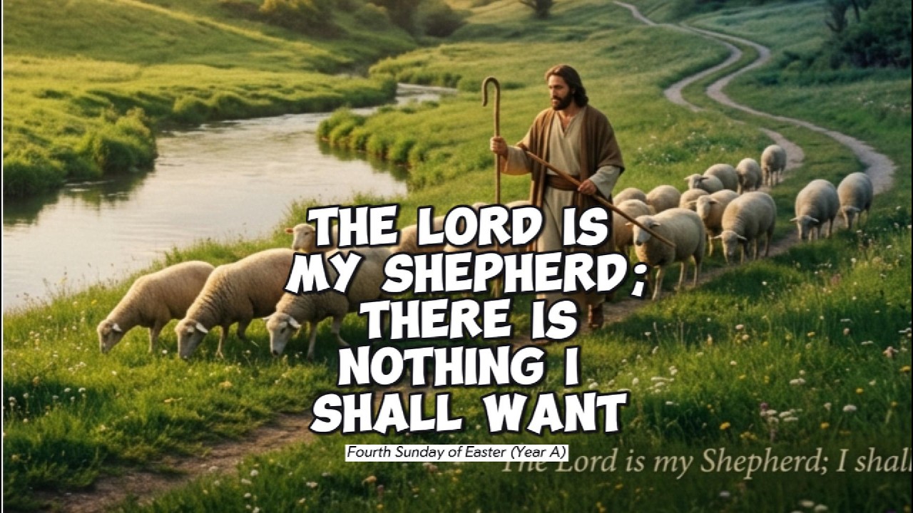 TODAY'S REFLECTION thumbnail