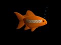 Nickelodeon Fish Bumper 2004