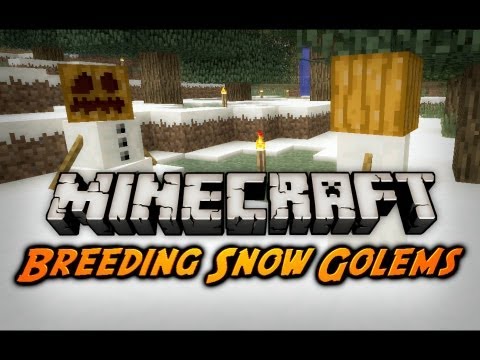 Minecraft: Snow Golem Breeding, Teleporting, Item Repair (Beta 1.9 Pre-Release 2)