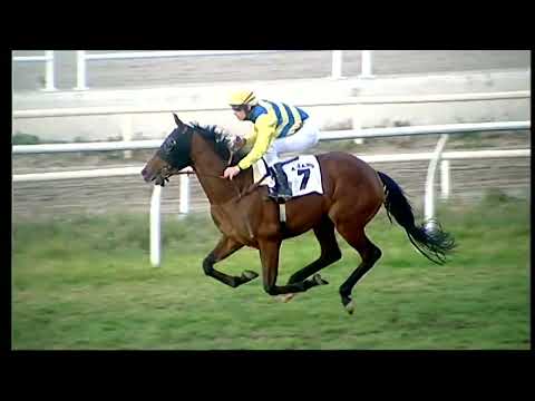 Napoli Galoppo 01/02/2022 - 5ª corsa