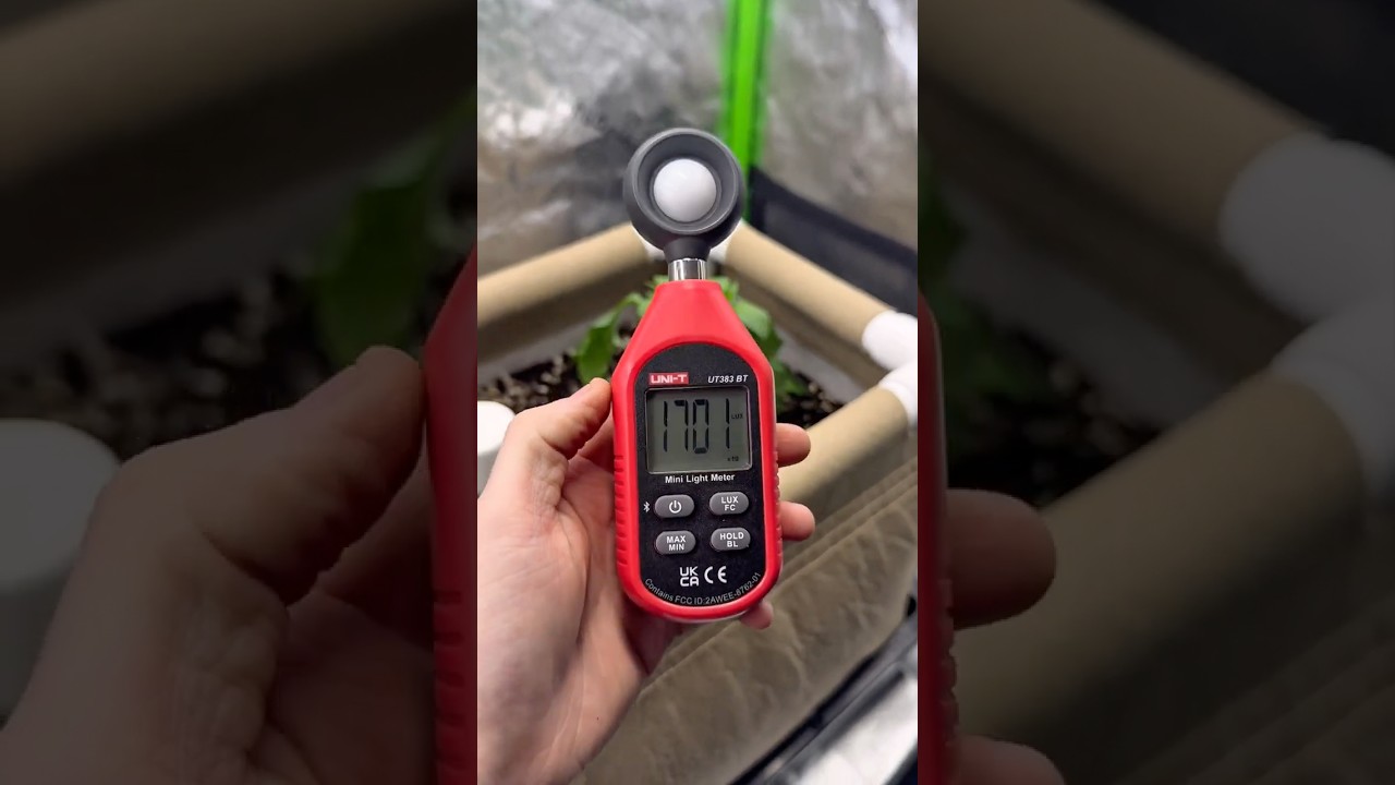 Cheap PAR Meter Hack!