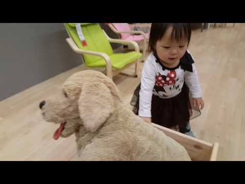 (05-06-17) Ikea Doggy