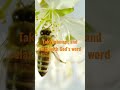 Psalm 85 for your enjoyment #psalms #encouragingtruth #bibleverseoftheday