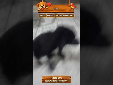 Vídeo de Fred