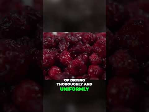 Mastering the Perfectly Dehydrated Cranberries A Guide to Even Drying!