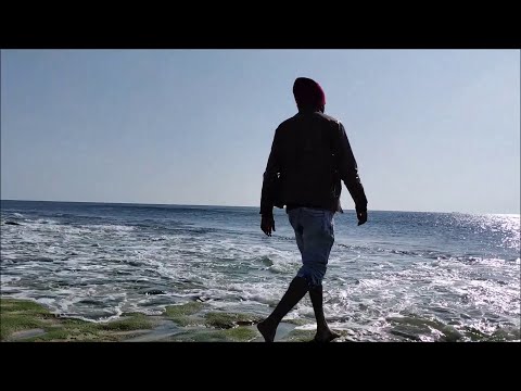 Cool Blues | Traxamillion | D plus