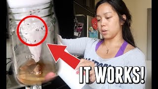 EASY FRUIT FLY TRAP IN 2 MINUTES! -  ItsJudysLife Vlogs