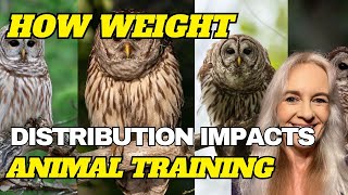 The Impact of Weight Distribution on Animal Training