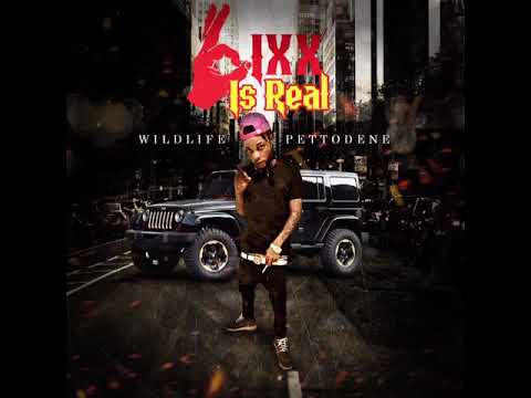 Wildlife Pettodene - 6ixx is Real (Official Audio )