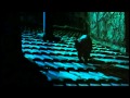 To Catch A Thief The Black Cat In Action