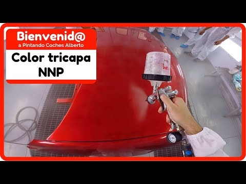 download lagu mp3 mp4 Color Rojo Vivo, download lagu Color Rojo Vivo gratis, unduh video klip Color Rojo Vivo