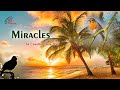 Isn't it a Miracle?  By Sr Caroline Duia DSP, Pauline Sisters, India