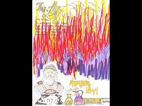 Numbers 18:1-19 (The Levitical Priesthood, Part I)