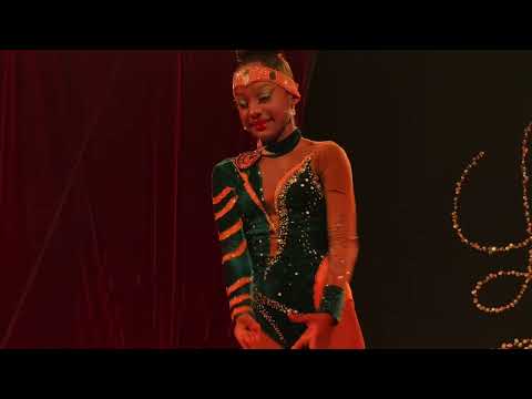 ✨ Uma noite simplesmente inesquecível no Circo Los Agady! 🎪🤩