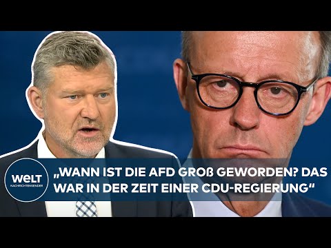 AFD-ZULAUF DURCH GENDERN? „Analyse von Merz scheint mir unterkomplex“ - Thorsten Jungholt