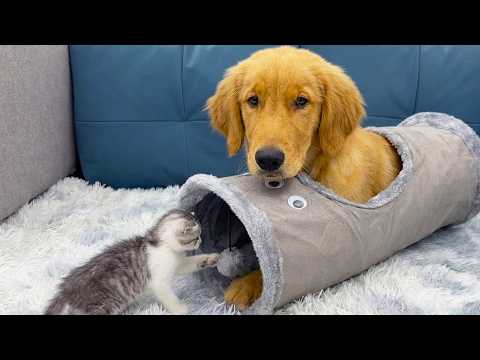YouTube 썸네일