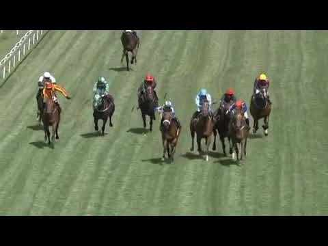 Head on race 5 Turffontein