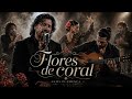 Guillermo Frontera - Flores de Coral | Flamenco Romántico | Flamenco Español | Canciones de amor