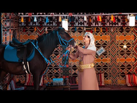 هدوء الليل عبدالفتاح الفقيه