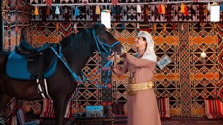 هدوء الليل - عبدالفتاح الفقيه