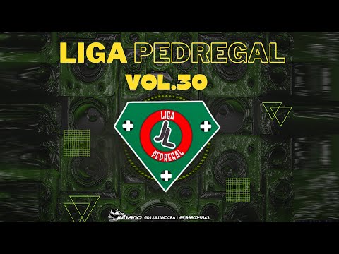 LIGA PEDREGAL VOL 30 - DJ JULIANO