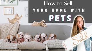 How to Sell Your Home with Pets l Prepare to Sell with Pets