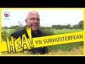 HEA! Goeie! in Surhuisterveen