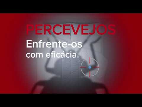 Percevejos – Enfrente-os com eficácia