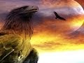 Flying Eagle (Wayra)