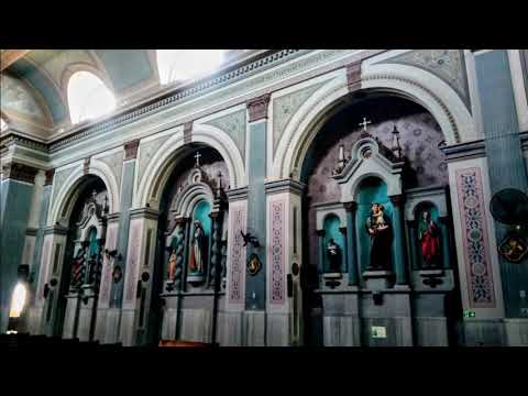 Mãe video