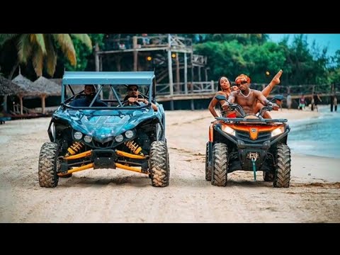Diamond Platnumz Ft Tanasha Donna - GERE (Official Video)