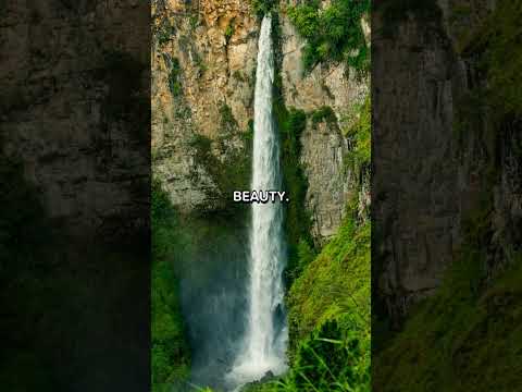 Explore 5 Must-Visit Spots in Medan! 🗺️🎢