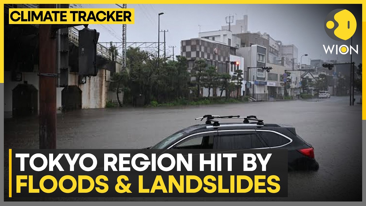 Typhoon Dujuan Batters Japan With Torrential Rain | WION