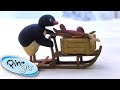 Pingu Goes Shopping For Fish Presents Pingu Official Cartoons For Kids