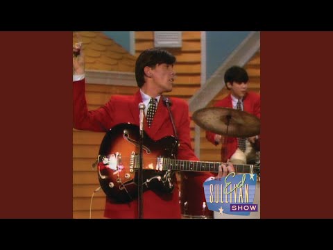 We Can Fly - The Cowsills