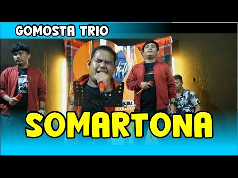 SOMARTONA - GOMOTA TRIO LIVE COVER