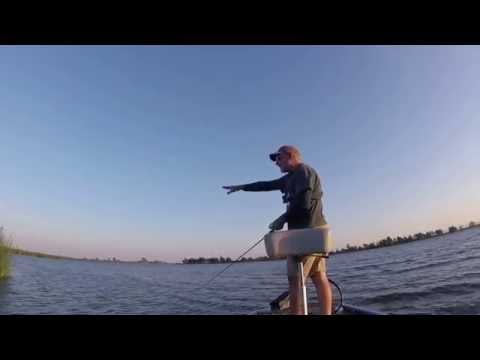 download lagu mp3 mp4 Delta Tides, download mp3 Delta Tides free download mp3, download mp3 Delta Tides