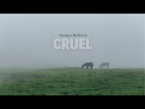 Cruel - Thomas McNeice