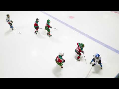 F2 LEIJONALIIGA - HJK White VS Karhu-Kissat Cats