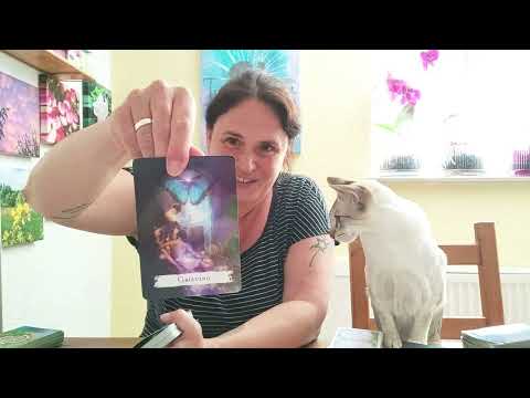 Weekly message 06.07. – 13.07. 🌟 NOW there's a lot of FIRE in the starting blocks 🔥😊