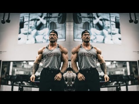 Broken 💔 Fitness Motivation Serhat Durmus - Hislerim Ft  Zerrin