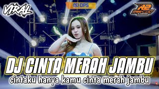 Download lagu DJ CINTA MERAH JAMBU || YANG LAGI VIRALL BANGET DI TIKTOK || by r2 project official remix mp3