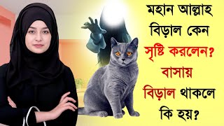 বিড়াল সৃষ্টির রহস্য | মহান আল্লাহর বিড়াল কেন সৃষ্টি করলেন ? বিড়াল খাওয়া কি হালাল | আলোকিত |